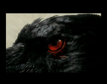 The Black Lotus - StarStruck/08.png